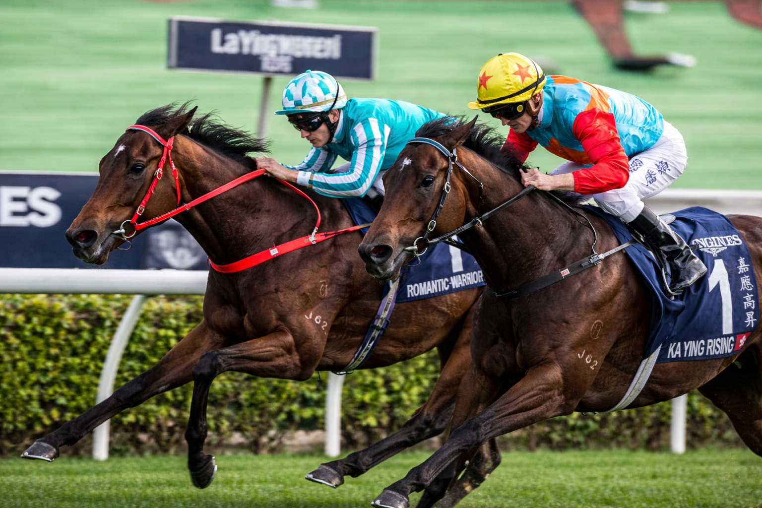 Hong Kong International Races